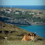 Tasación fincas y ganado